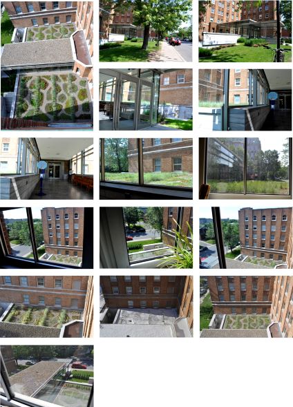 Figure 3 – Exemple du toit vert de l’Hôpital Saint-Mary’s (Montréal) montré par une série de photos (de gauche à droite) lors des entrevues (vues du rez-de-chaussée perceptibles par des vues furtives à l’entrée et des vues des fenêtres de l’hôpital à l’étage ainsi qu’une vue générale, mais autrement inaccessible pour les patients depuis le toit de l’hôpital, montrées dans la première photo)