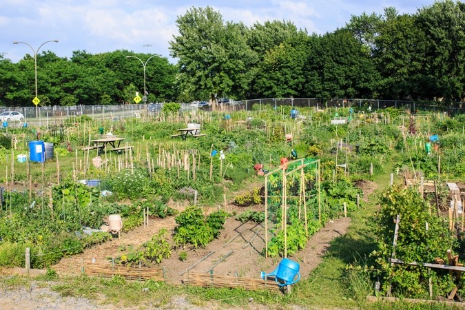 Jardins communautaires Montréal