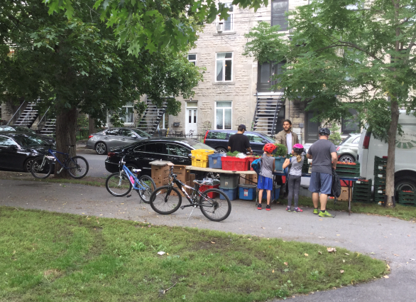 Un fermier tend une botte de carottes à un enfant d’une famille abonnée, venue en vélo chercher ses légumes au point de collecte hebdomadaire. Crédits photo : Axel Chiche