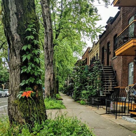 Rue de Montréal