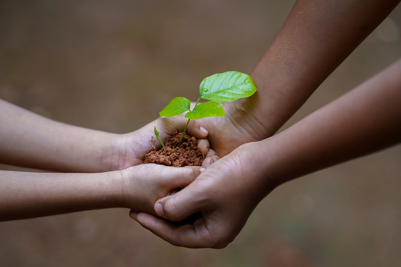 Mains, Sol, Plantes. Crédits photo : Pixabay, Shameer Pk.