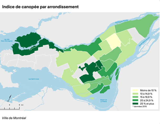 Carte de l’indice de canopée selon les arrondissements