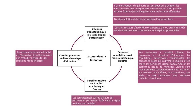 Figure 3. Lacunes repérées dans la littérature (non exhaustif) Graphique : Émily Després, 2021