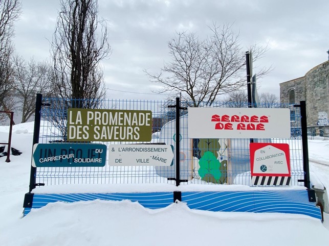 Documentation des serres sur la voirie en contexte hivernal, Montréal, décembre 2021 Crédits photo : Maison de l’innovation sociale (www.mis.quebec)