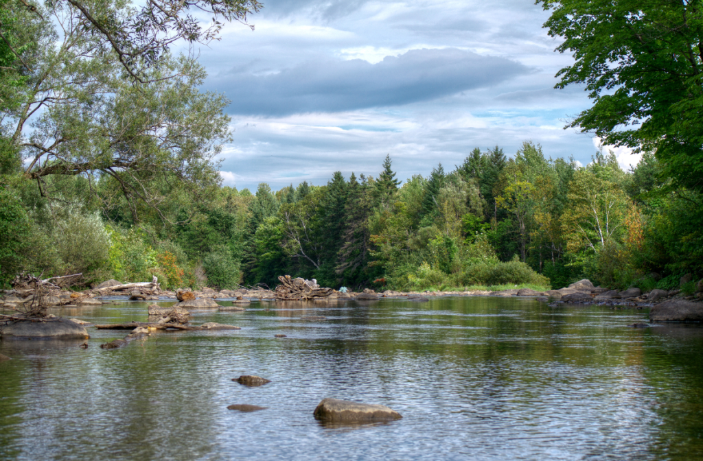 Rivière Saint-Charles, Québec