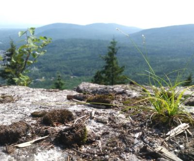 Belvédère de la montagne à Tremblay, sentier Le Montagnard, Sainte-Brigitte-de-Laval, Québec 
Crédits photo : Caroline Tanguay, 2019