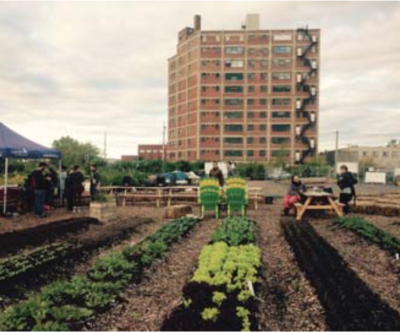 Jardin Cra-terre, Campus Mil (Université de Montréal)